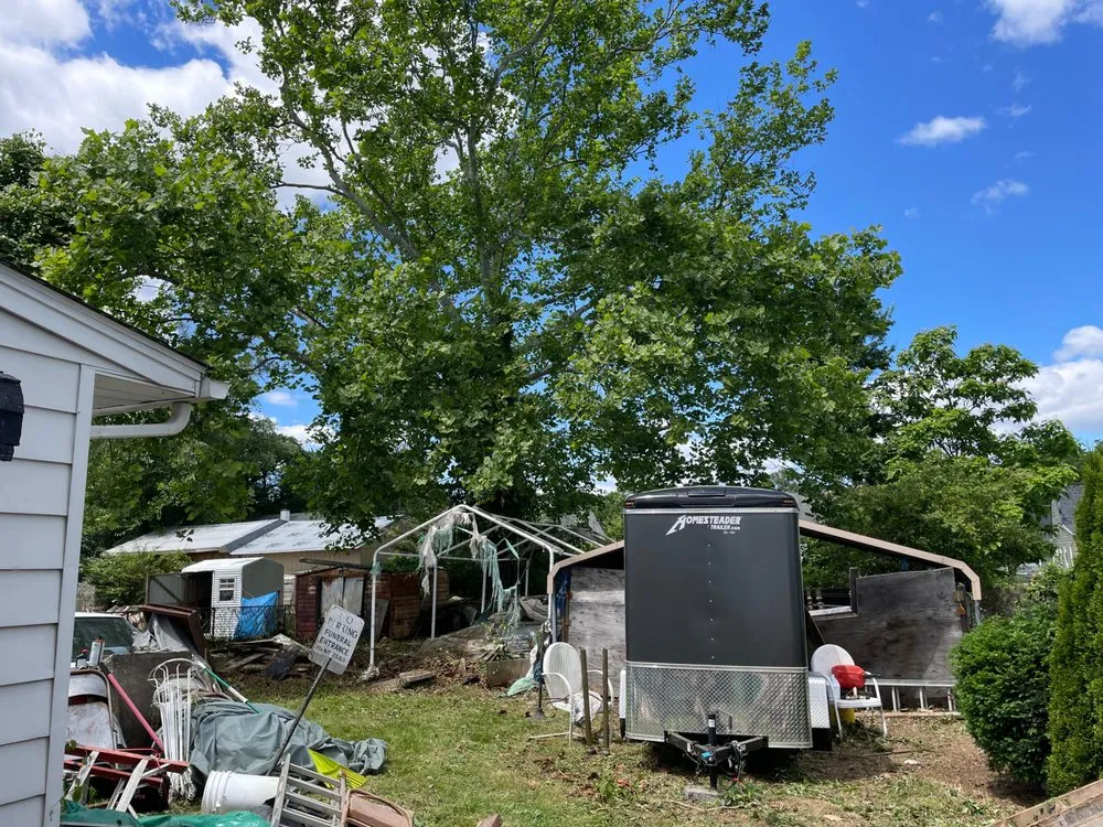 Trusted yard cleanup service in Hillcrest Heights, MD by Lexis Landscaping