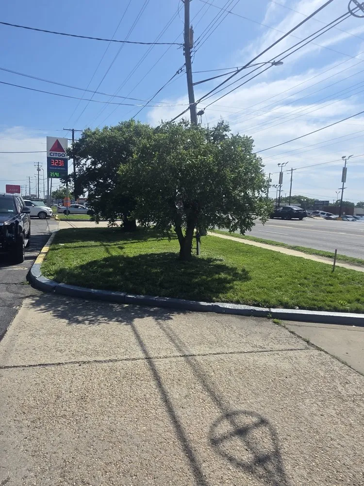 Professional landscaping services in Hillcrest Heights, MD by Lexis Landscaping