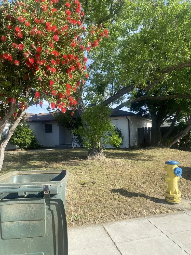 Local lawn mowing service in Fresno, CA - Lexmar R