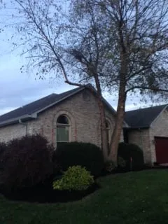 Affordable residential landscaping in Louisville, KY by Lexon