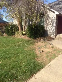 Affordable lawn mowing service for year-round maintenance across Louisville, KY - Lexon