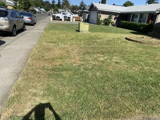 Ley Brothers Landscaping Logo