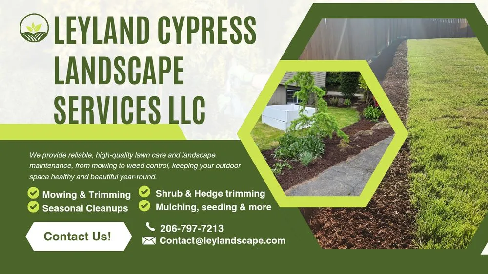 Professional lawn mowing service in Kent, WA by Leyland Cypress Landscape Services