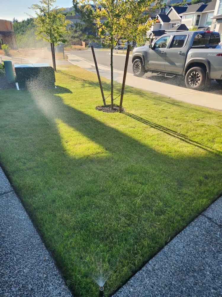 Affordable yard cleanup service for residential properties across Kent, WA - Leyland Cypress Landscape Services