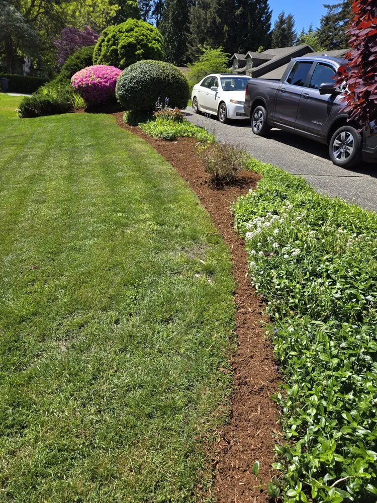 Professional landscape installation experts serving Kent, WA - Leyland Cypress Landscape Services