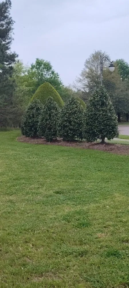 Expert lawn care service for homes in Burlington, NC by Leyland Landscaping