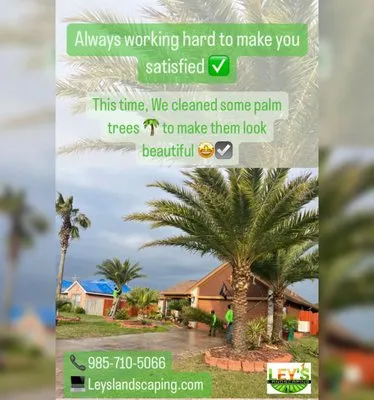 Ley's Landscaping Logo