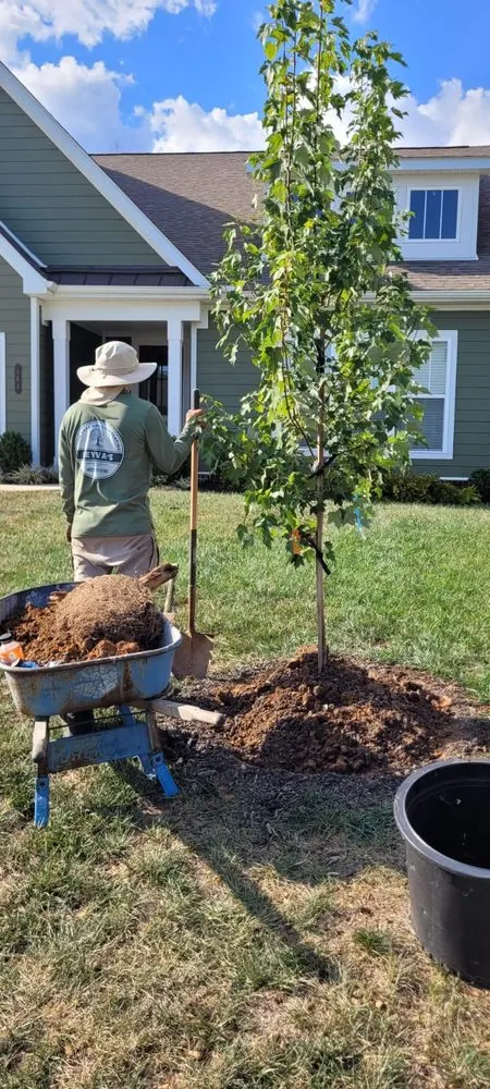 Reliable landscape installation in Lenoir City, TN by Leyva's Lawn Care and Landscaping
