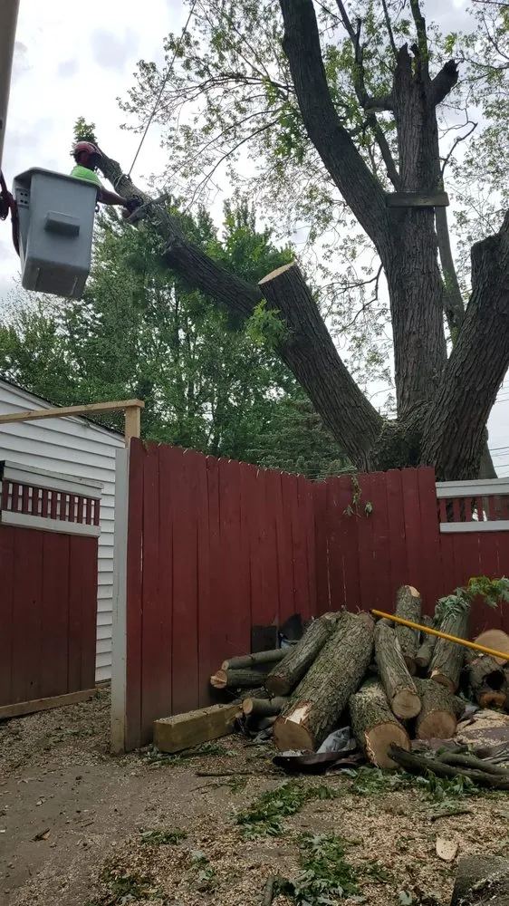 Affordable yard maintenance in Columbus, OH by Leyva’s Tree Service