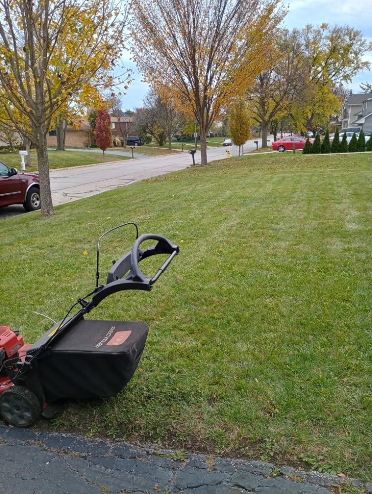 Reliable yard maintenance for year-round maintenance across Hanover Park, IL - Lezama Landscaping