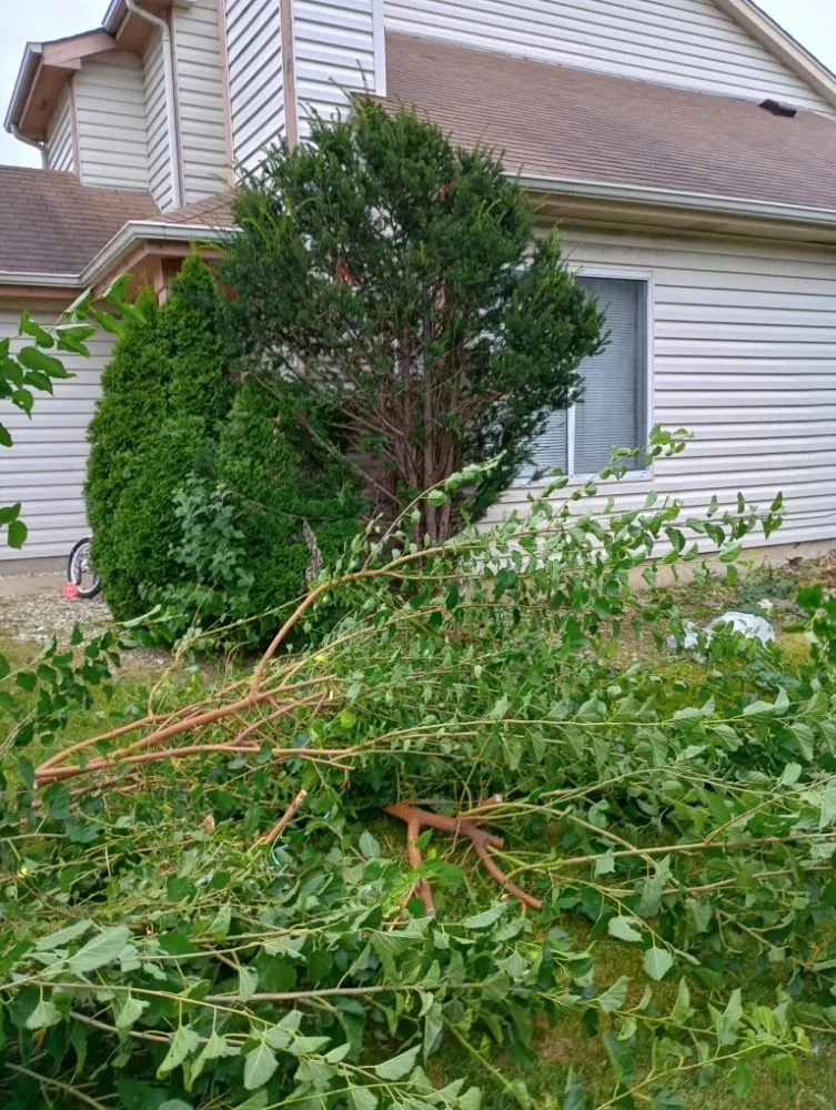 Trusted landscape design in Hanover Park, IL - Lezama Landscaping