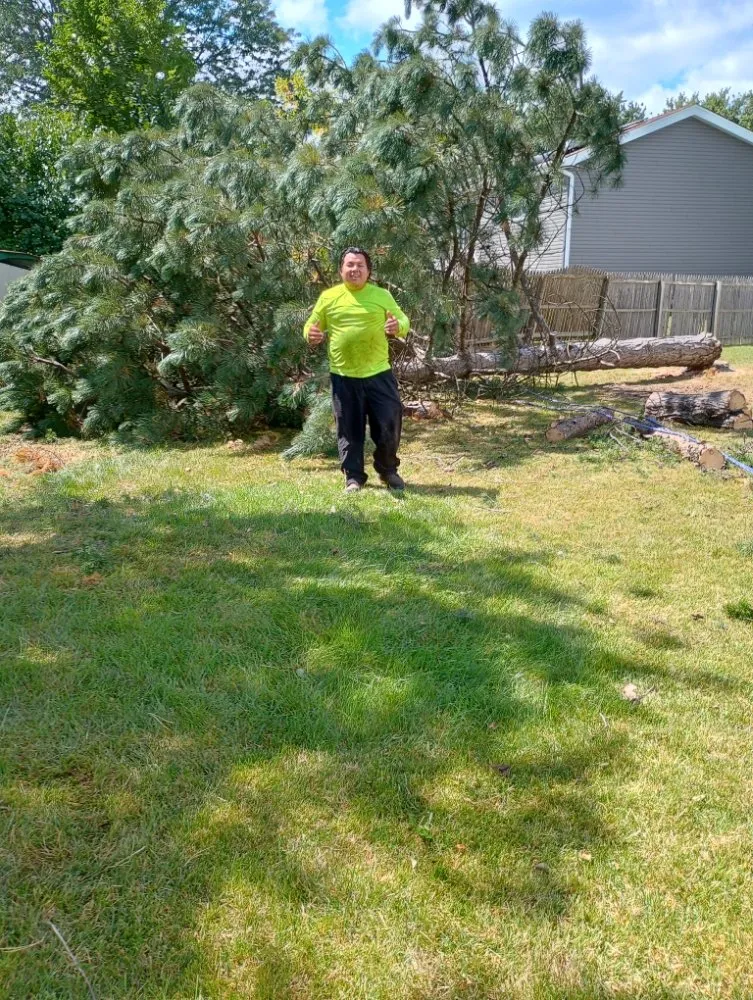 Trusted landscaping services in Hanover Park, IL - Lezama Landscaping