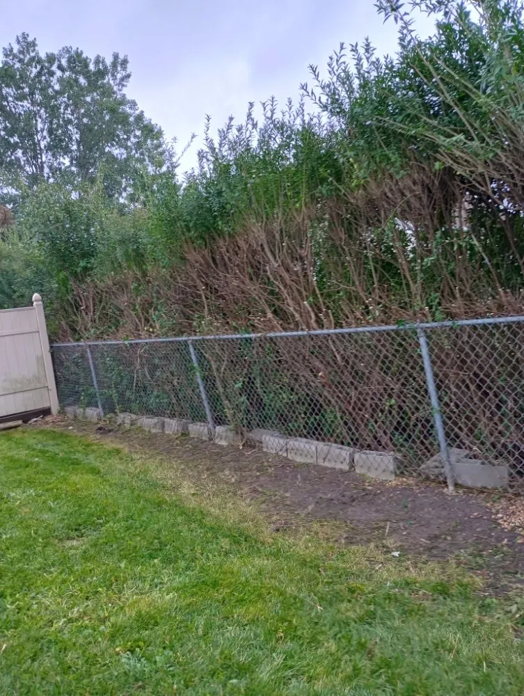 Trusted landscape installation for outdoor upgrades across Hanover Park, IL - Lezama Landscaping