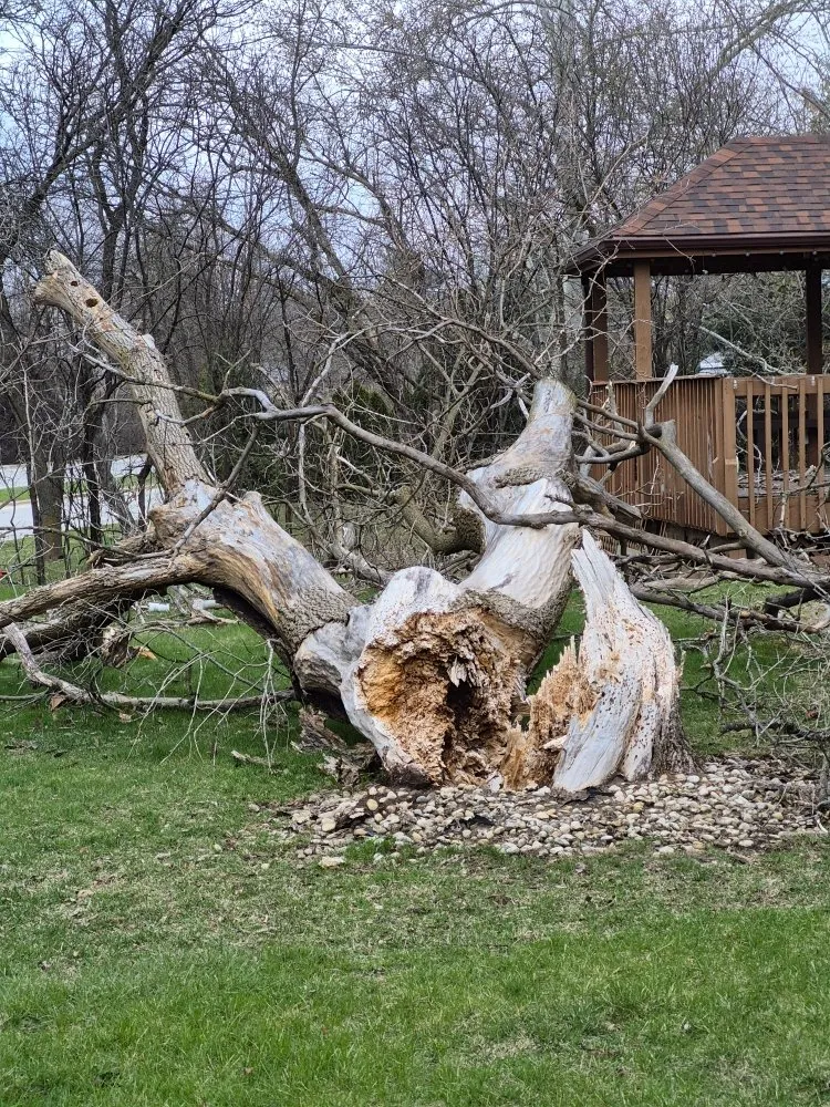 Reliable landscape design experts serving Hanover Park, IL - Lezama Landscaping