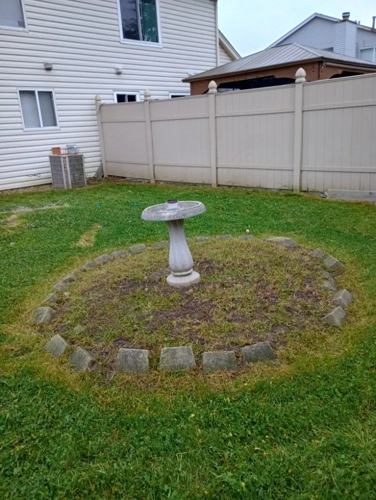 Local yard cleanup service near you across Hanover Park, IL - Lezama Landscaping