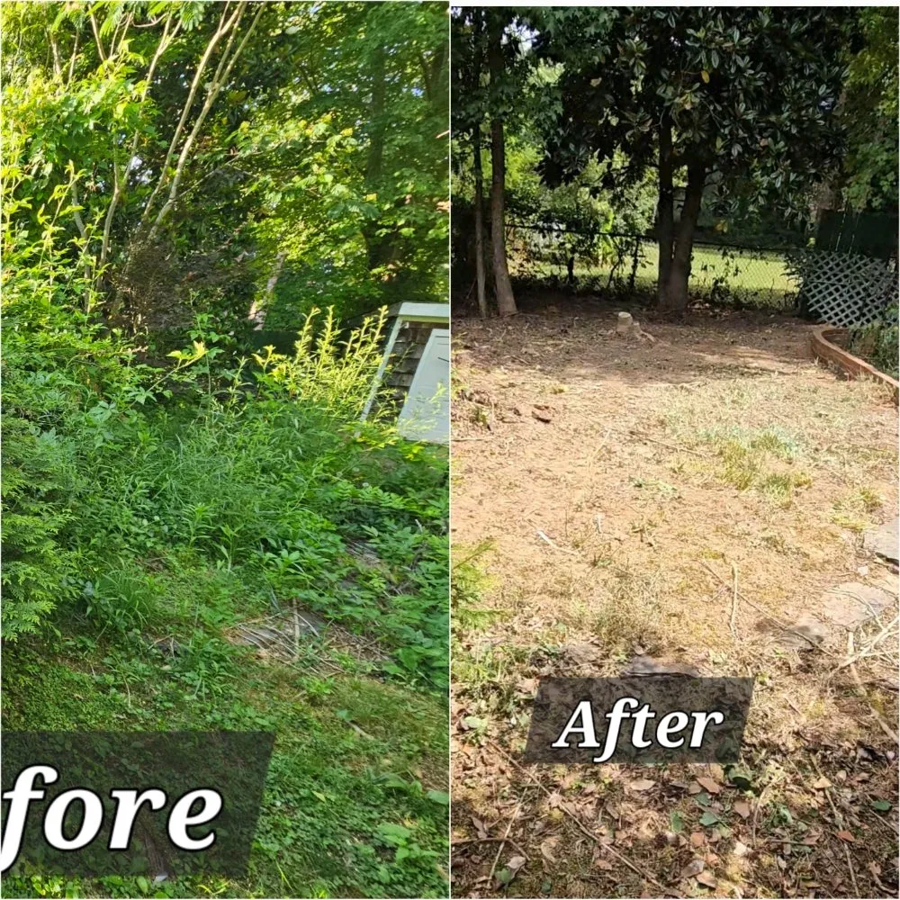 Professional residential landscaping in Winston-Salem, NC by Lezamas Landscaping & Lawncare