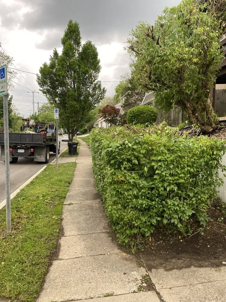 Local yard maintenance for year-round maintenance across Cincinnati, OH - L&F Landscaping