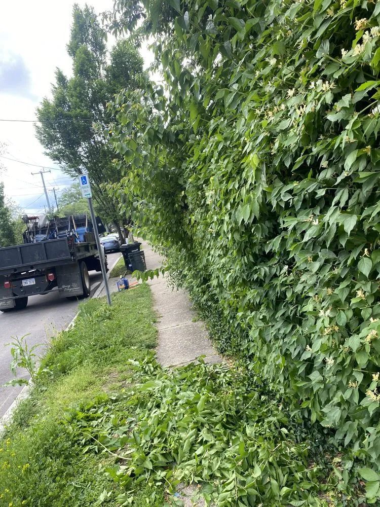 Top-rated yard maintenance in Cincinnati, OH by L&F Landscaping