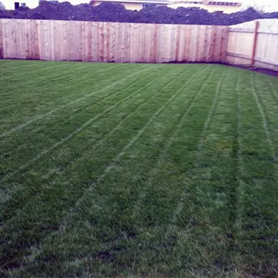 Expert yard maintenance in Albany, OR - L&F Lawn Service