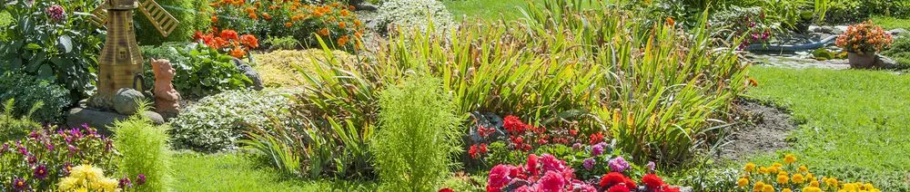 Top-rated lawn mowing service experts serving Albany, OR - L&F Lawn Service