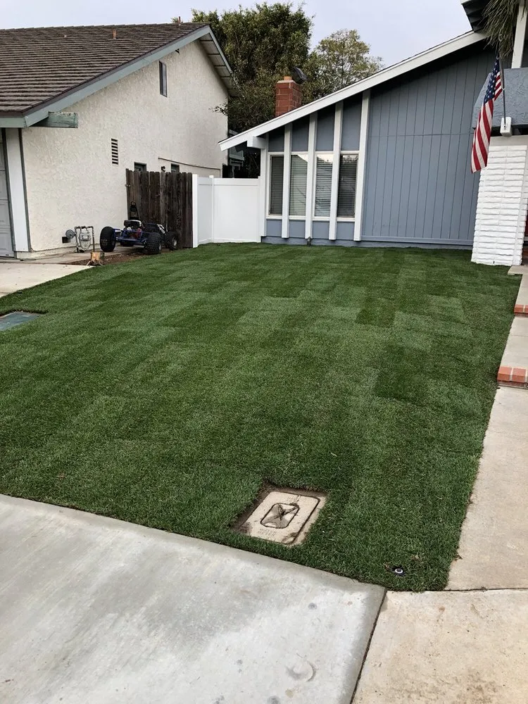 Local landscape design in Bloomington, CA - LFR Landscape