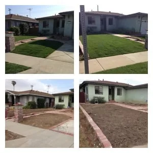 Expert landscape design in Bloomington, CA - LFR Landscape