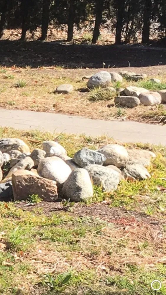 Professional landscape design experts serving Bloomington, CA - LFR Landscape