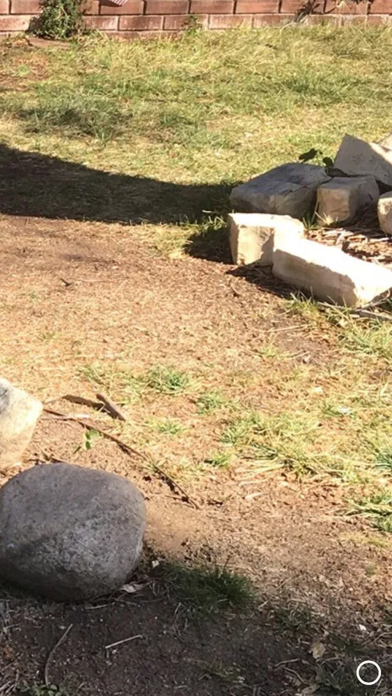 Professional yard maintenance experts serving Bloomington, CA - LFR Landscape