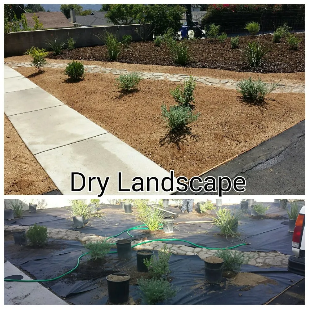 Expert residential landscaping in Bloomington, CA - LFR Landscape