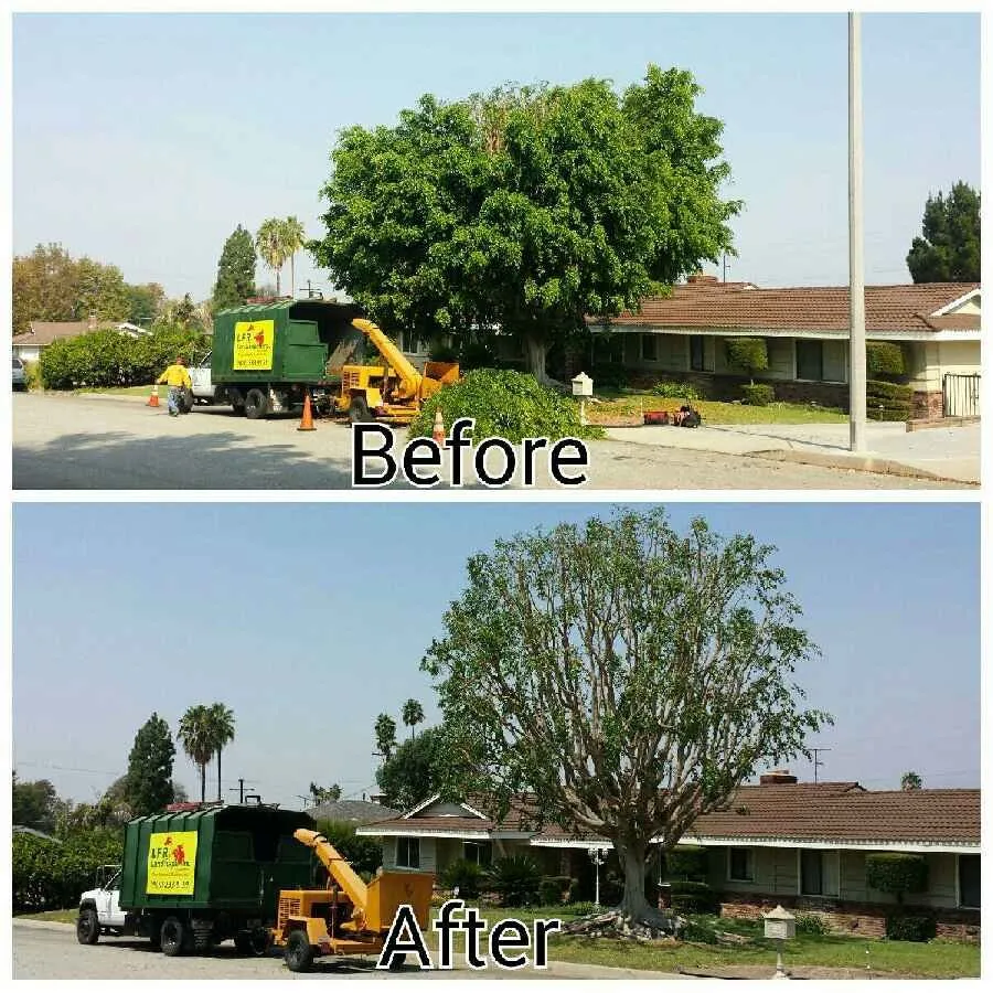 Reliable landscape installation for outdoor upgrades in Bloomington, CA by LFR Landscape