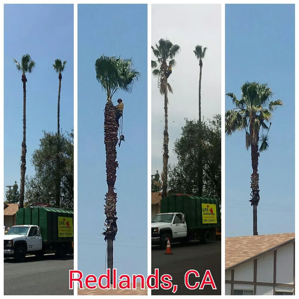 Reliable outdoor landscaping experts serving Bloomington, CA - LFR Landscape