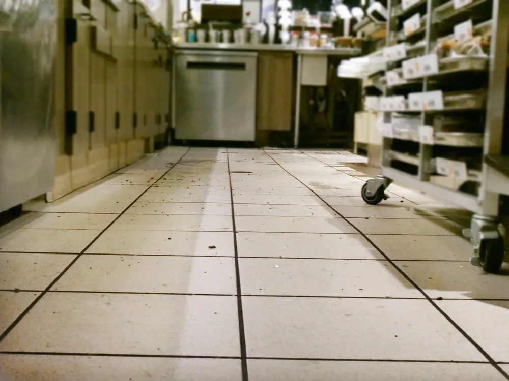 Trusted garden landscaping experts serving Northridge, CA - LG Commercial & Residential Cleaning