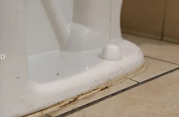 LG Commercial & Residential Cleaning