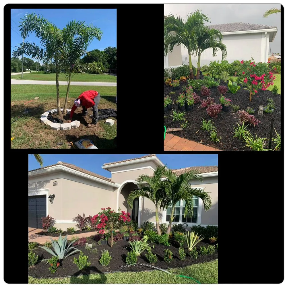 Trusted yard cleanup service near you in Port St. Lucie, FL by LG Diamond Landscapes