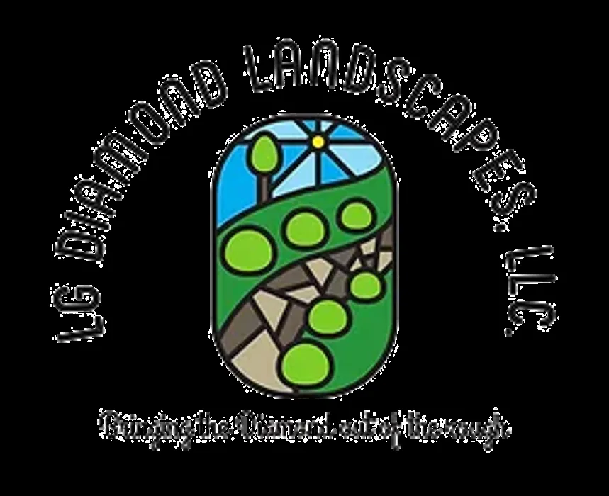 Custom yard cleanup service in Port St. Lucie, FL - LG Diamond Landscapes