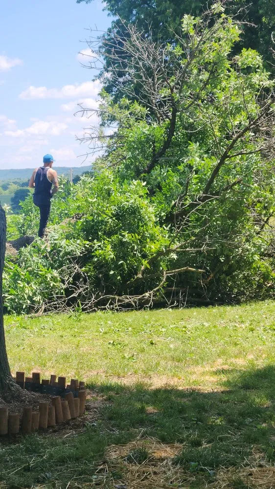 Custom outdoor landscaping in Troy, MO - LG Handyman&Cleaning