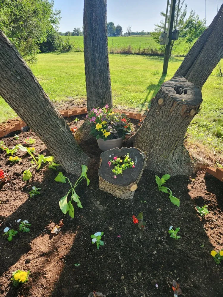 Trusted yard maintenance for year-round maintenance across Troy, MO - LG Handyman&Cleaning