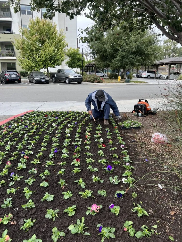 Trusted landscape installation in Fremont, CA - LG Landscaping & Irrigation