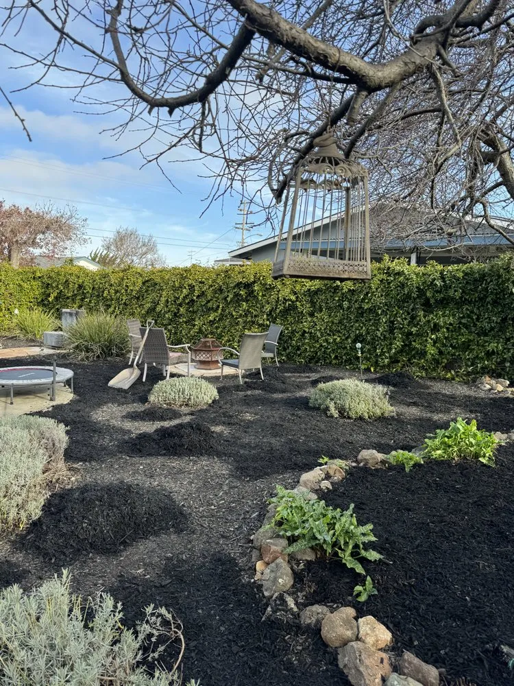 Professional lawn care service in Fremont, CA by LG Landscaping & Irrigation