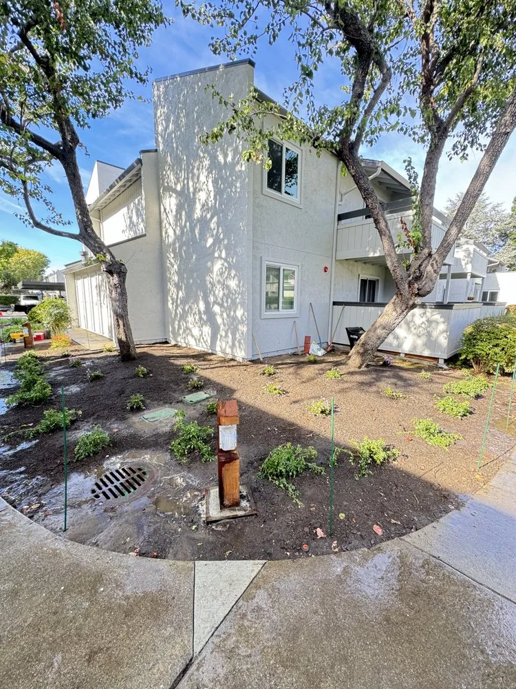 Local lawn care service for outdoor upgrades across Fremont, CA - LG Landscaping & Irrigation