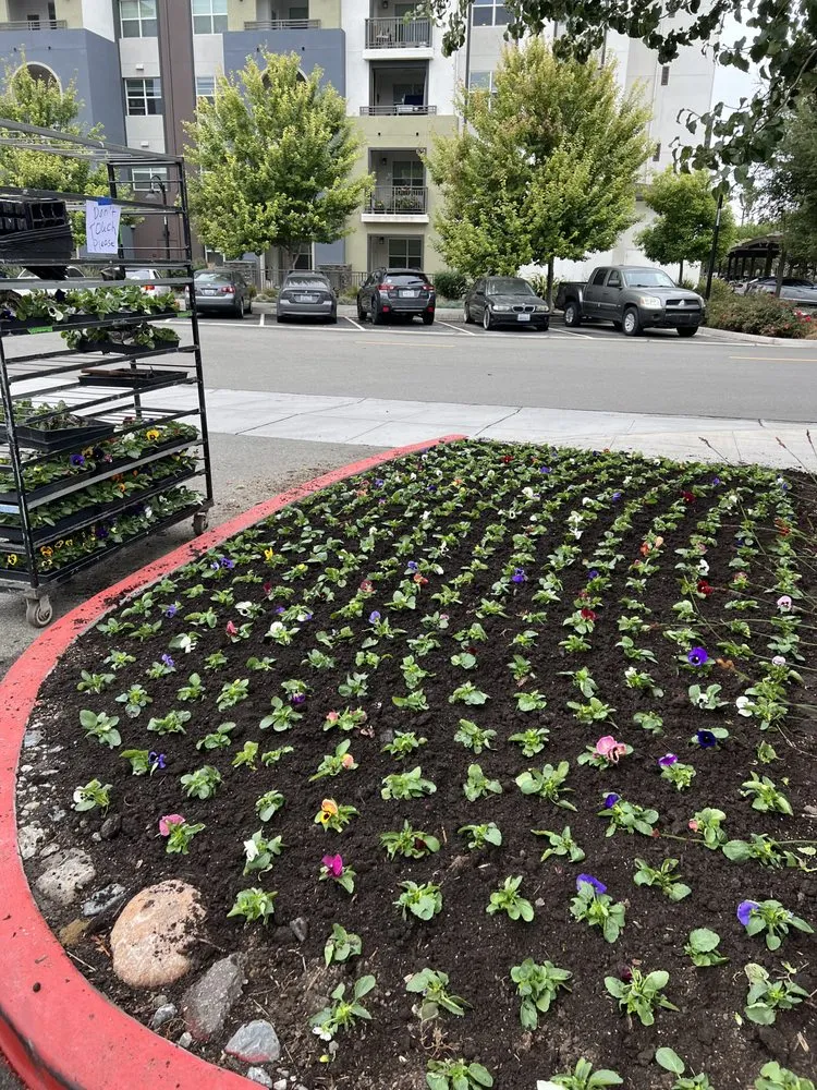 Local landscaping services in Fremont, CA by LG Landscaping & Irrigation