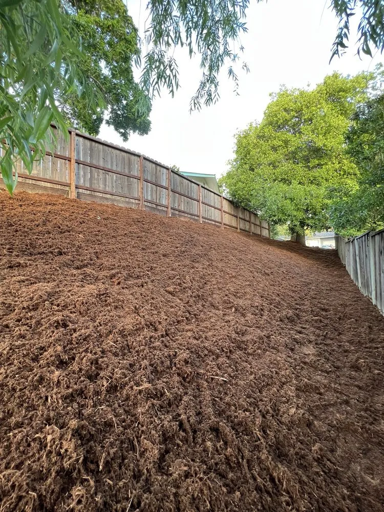 Trusted landscape design in Fremont, CA - LG Landscaping & Irrigation