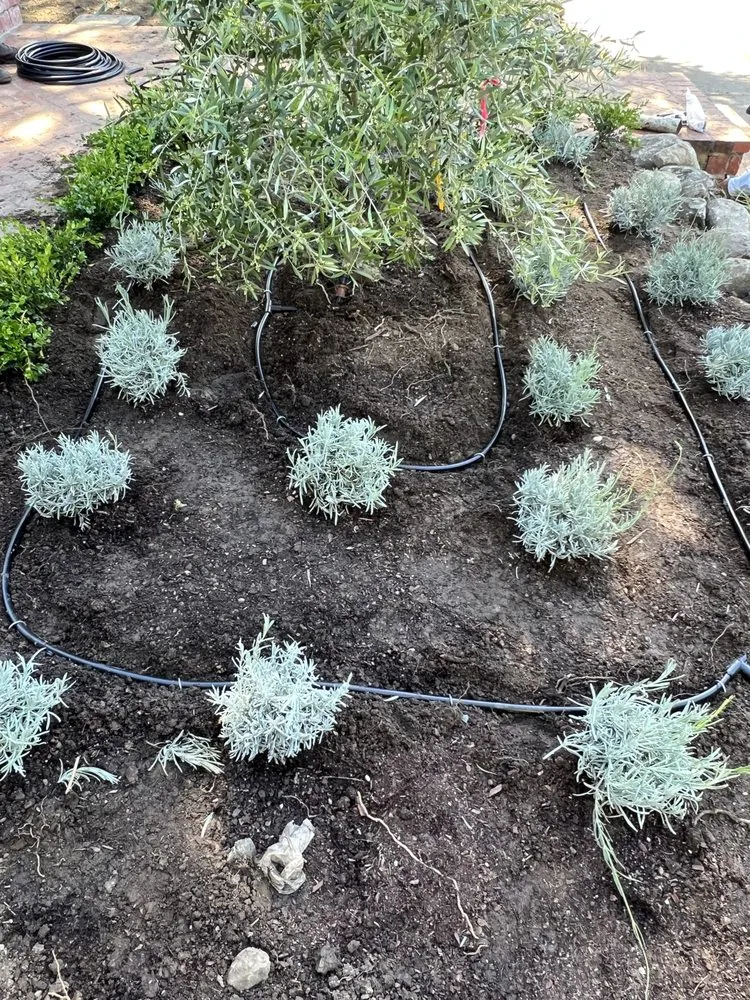 Reliable landscape design experts serving Fremont, CA - LG Landscaping & Irrigation