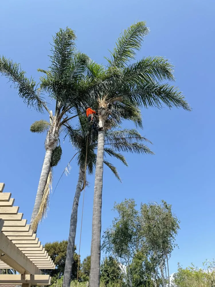 Top-rated yard maintenance in Fremont, CA by LG Landscaping & Irrigation