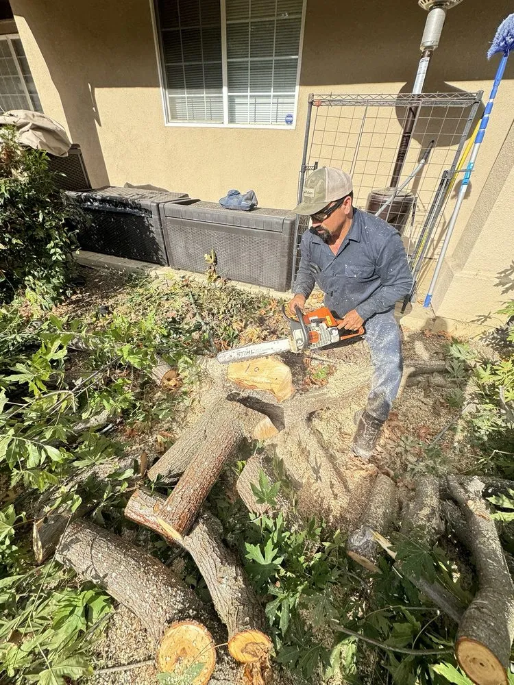 Professional outdoor landscaping for homes across Fremont, CA - LG Landscaping & Irrigation