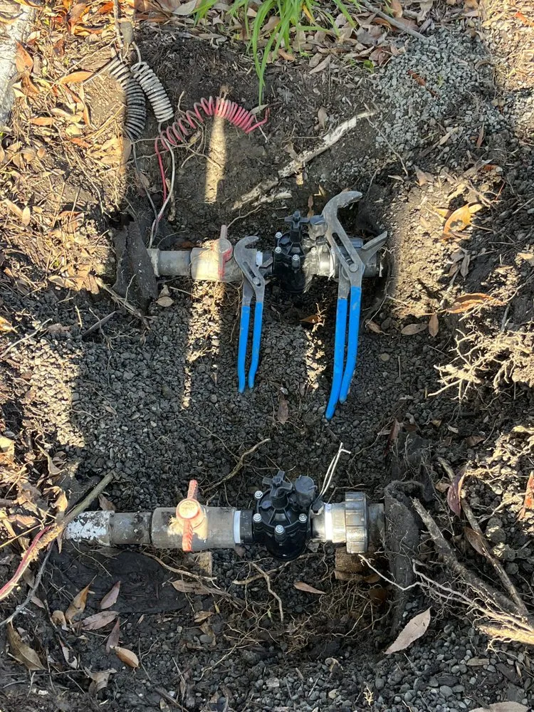 Custom garden landscaping for beautiful yards across Fremont, CA - LG Landscaping & Irrigation