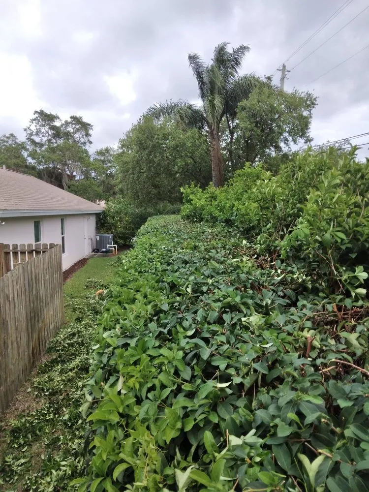 Custom outdoor landscaping for homes across Vero Beach, FL - LG Landscaping & Lawn Care Service