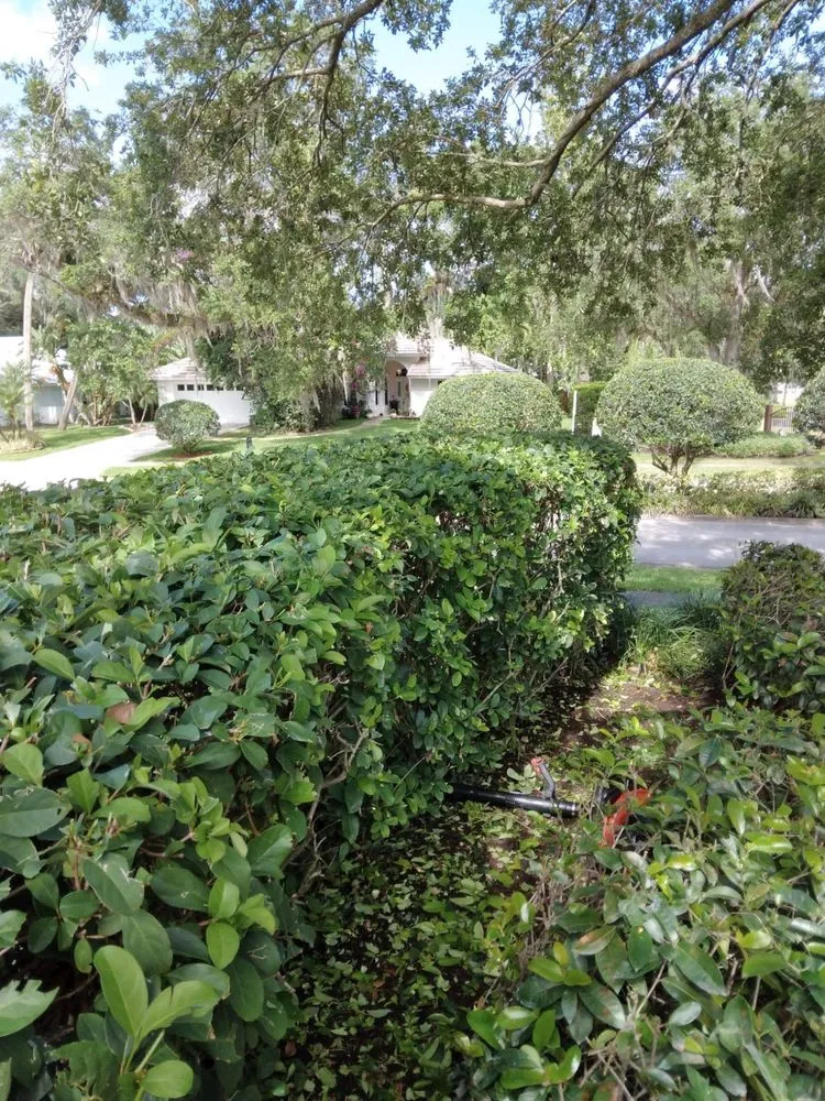Trusted residential landscaping for homes in Vero Beach, FL by LG Landscaping & Lawn Care Service