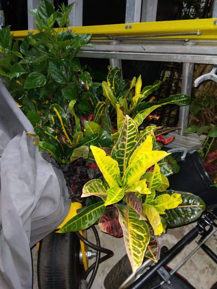 Affordable garden landscaping for beautiful yards across Vero Beach, FL - LG Landscaping & Lawn Care Service