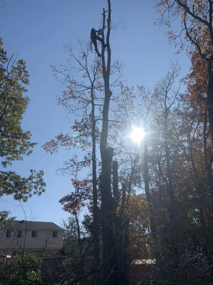 Trusted outdoor landscaping in Lindenwold, NJ by L&G Landscaping & Tree Service